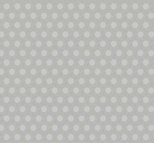 LN10208 Lillian August Luxe Retreat Wallpaper Cabana Wicker Cove Gray