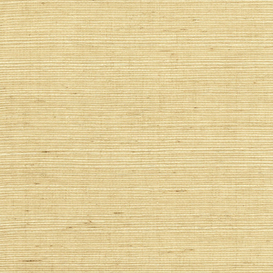 LN11817 Lillian August Luxe Retreat Wallpaper Sisal Grasscloth Desert Limestone