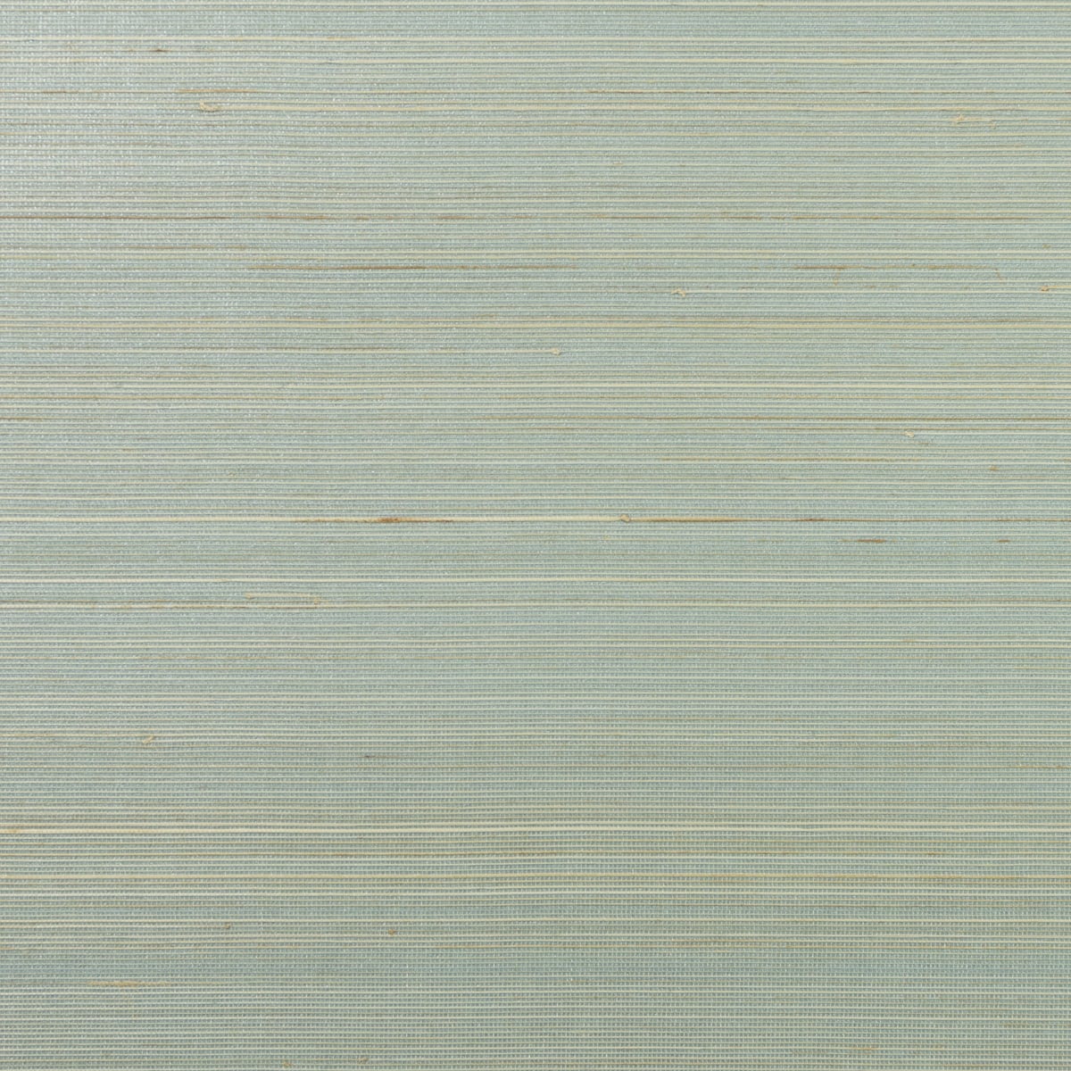 LN11822 Lillian August Lillian August Grasscloth Binder Wallpaper Abaca Lake Forest and Sandy Shore