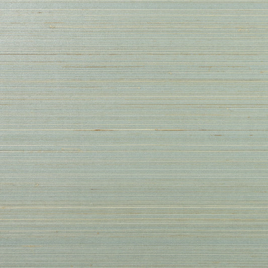 LN11822 Lillian August Lillian August Grasscloth Binder Wallpaper Abaca Lake Forest and Sandy Shore