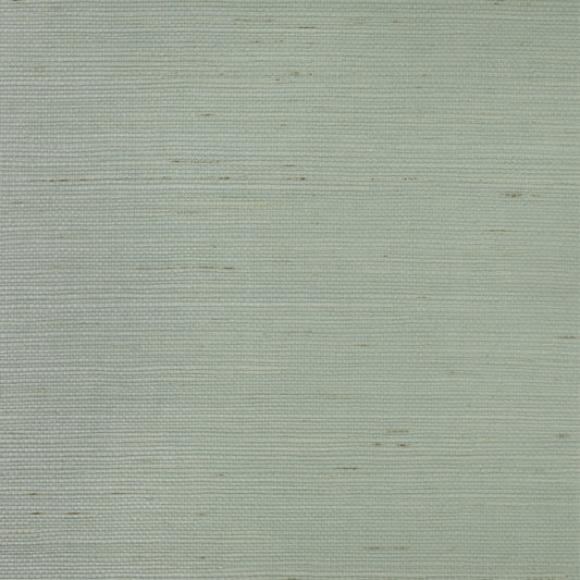 LN11862 Lillian August Lillian August Grasscloth Binder Wallpaper Sisal Powder Blue