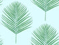 LN20004 Lillian August Lillian August Peel and Stick Wallpaper Maui Palm Celeste & Jade