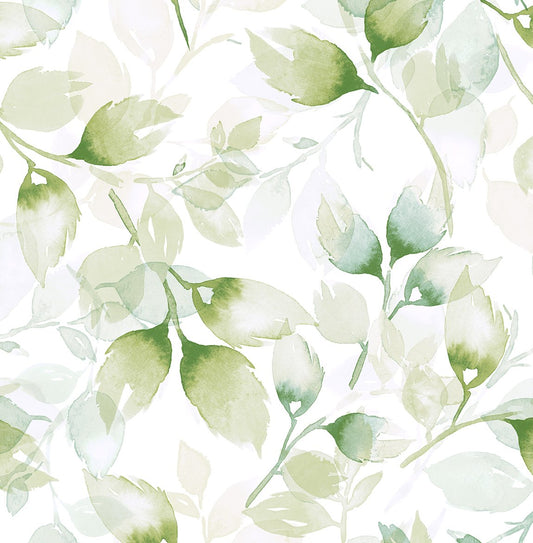 LN31104 Lillian August Lillian August Peel and Stick Wallpaper Watercolor Tossed Leaves Green Ivy