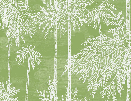 LN40204 Lillian August Coastal Haven Wallpaper Palm Grove  Summer Fern