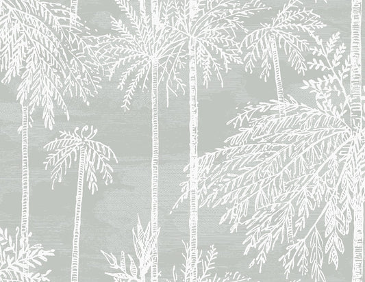 LN40208 Lillian August Coastal Haven Wallpaper Palm Grove  Misty