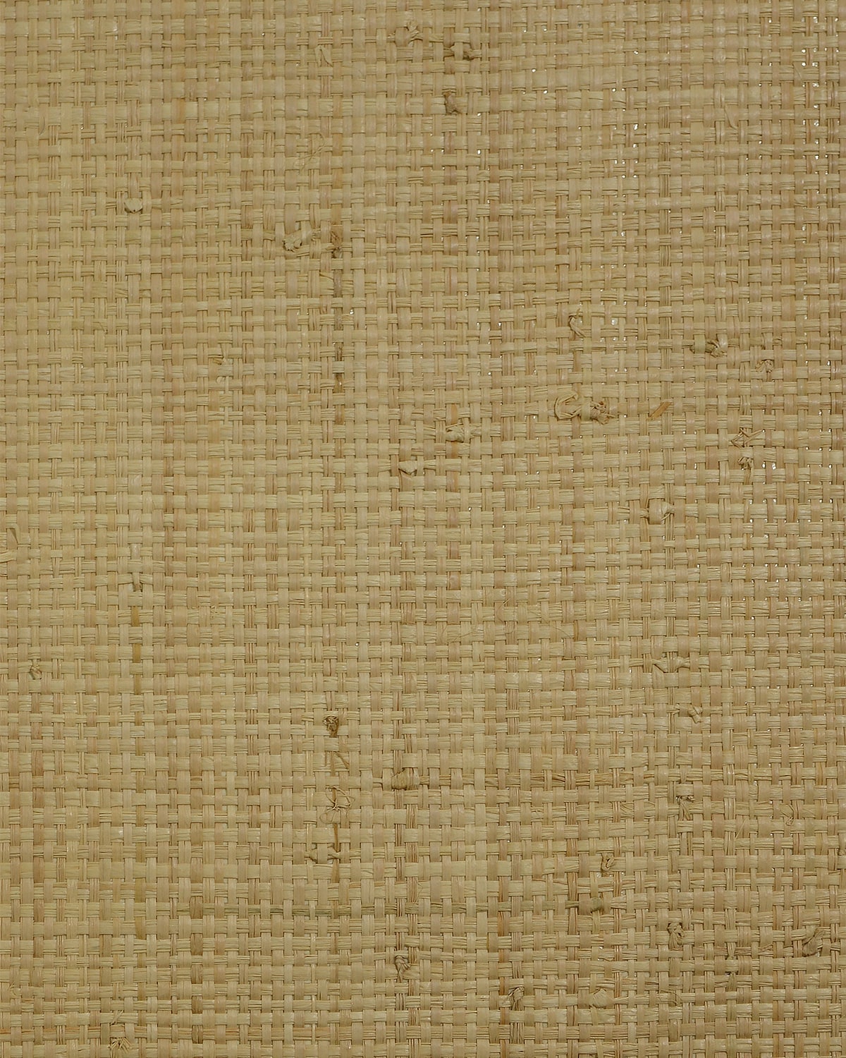 LN50040 Lillian August Lillian August Natural Textured Wallcoverings 2 Wallpaper Raffia (100%) Tan