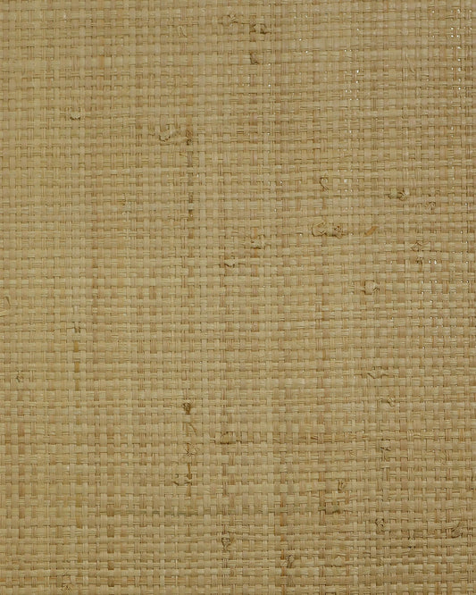 LN50040 Lillian August Lillian August Natural Textured Wallcoverings 2 Wallpaper Raffia (100%) Tan