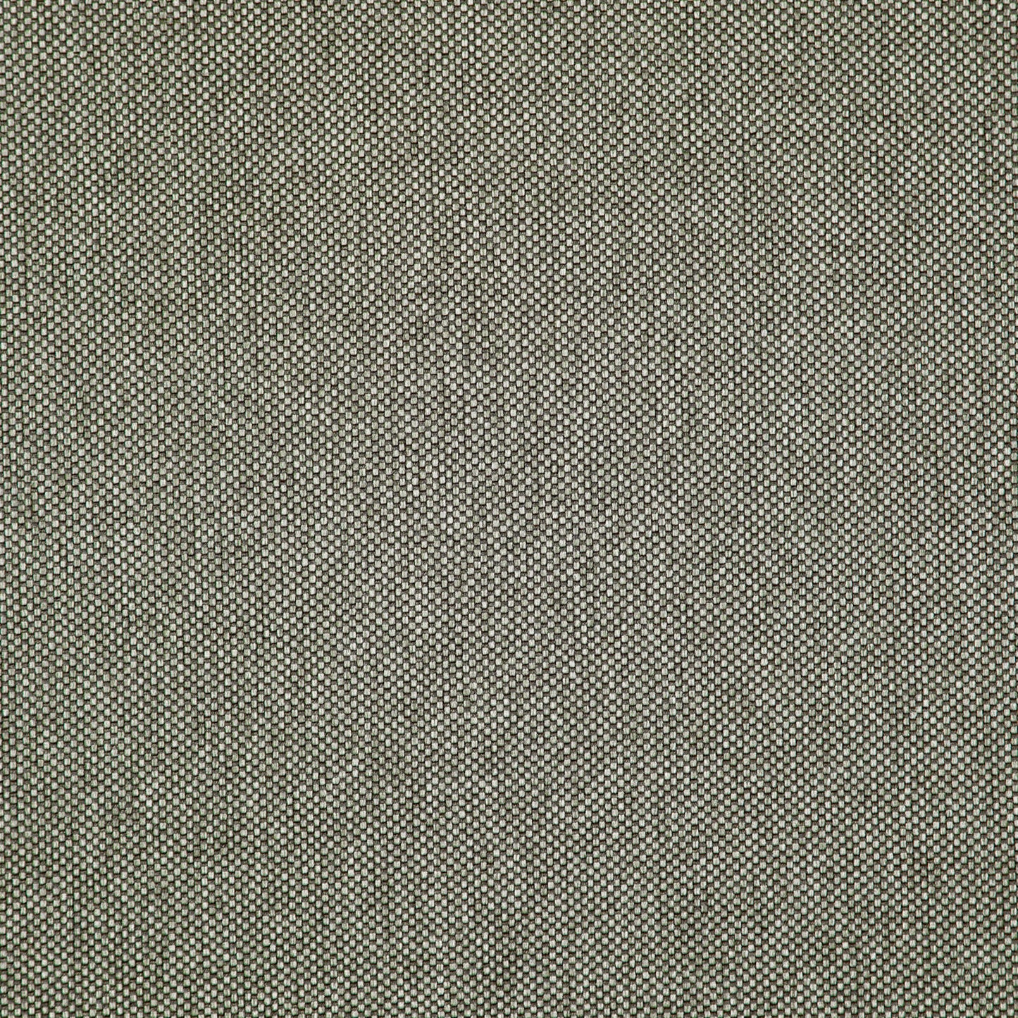 LO8213 Maxwell UPHOLSTERY SOLID/TEXTURES # 213 GRIFFIN CONTRACTPTEXTURES