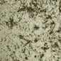 LP2737 Maxwell VELVET SOLID/TEXTURE # 737 LEAF CURLEDUPVII