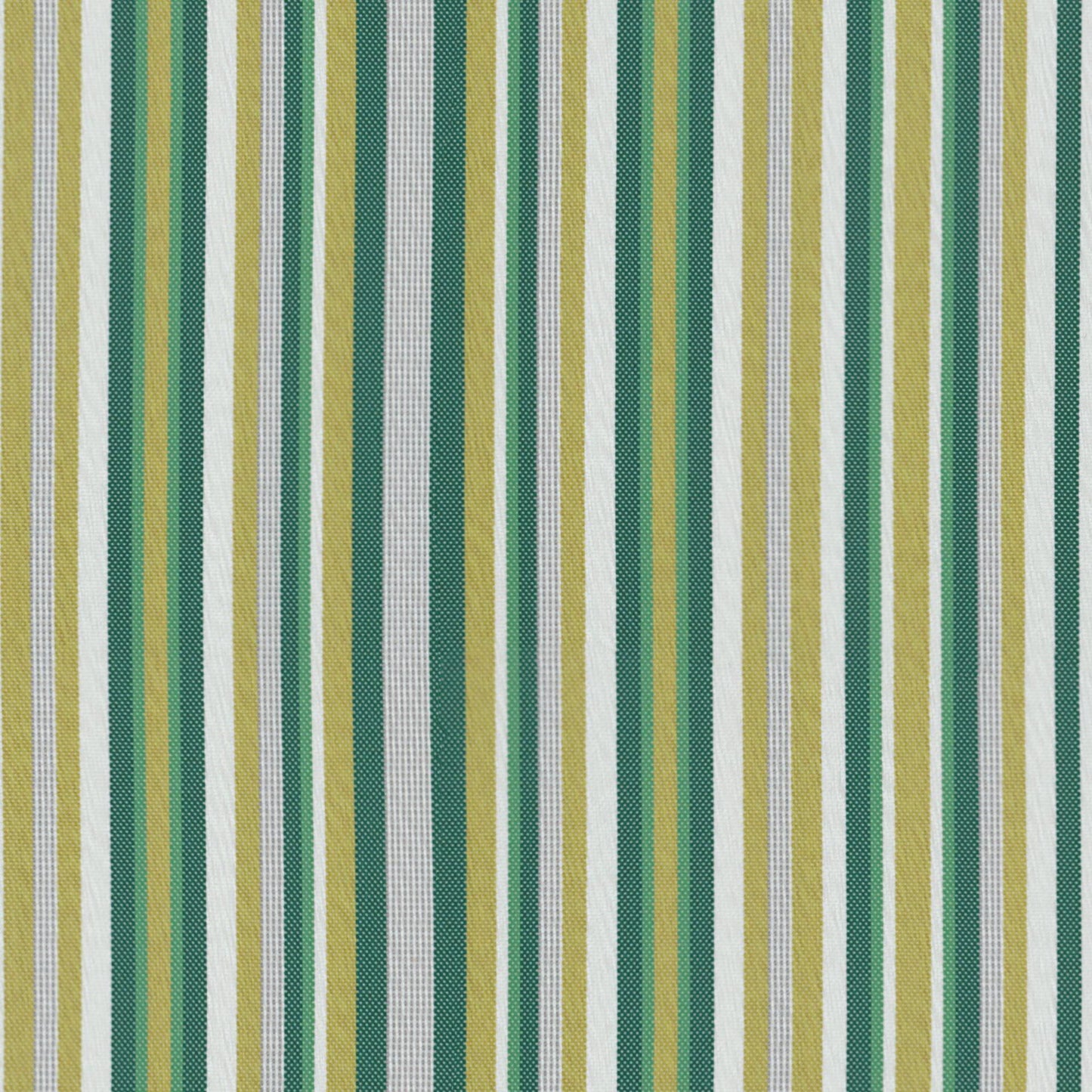 LR6646 Maxwell INDOOR/OUTDOOR # 646 OLIVE HG-ACTVIII