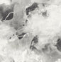 LW50200 Seabrook Designs Living with Art Wallpaper Notch Trowel Abstract Grayscale