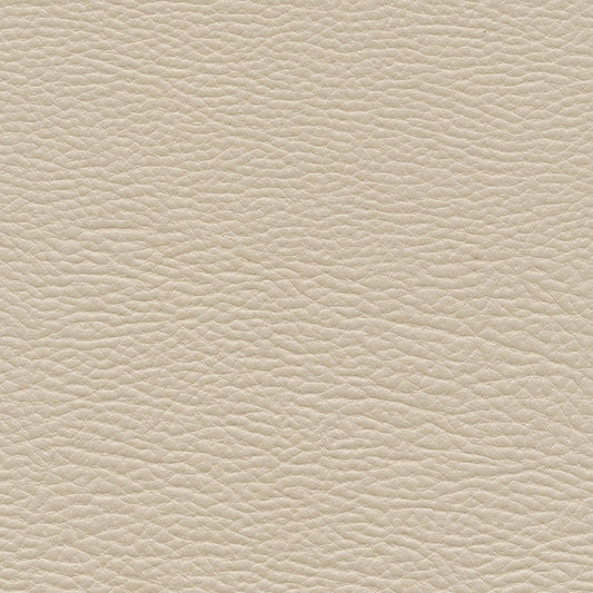 MAB961 Maxwell FABRIC # 961 DUCK MO-COATEDFABRICS