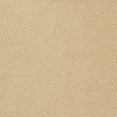 MATTER-1116 KRAVET BASICS MATTER-1116 KRAVET BASICS UPHOLSTERY