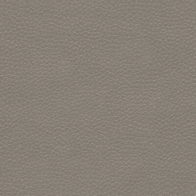 METALISKIN-11 METALISKIN PEWTER KRAVET COUTURE UPHOLSTERY
