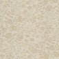 MOZA-3 STOUT MOZART 3 STRAW STRAW DRAPERY