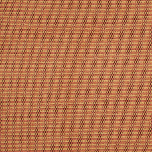 MY0503 Maxwell UPHOLSTERY PATTERNS # 503 SIENNA CG-NECTAR
