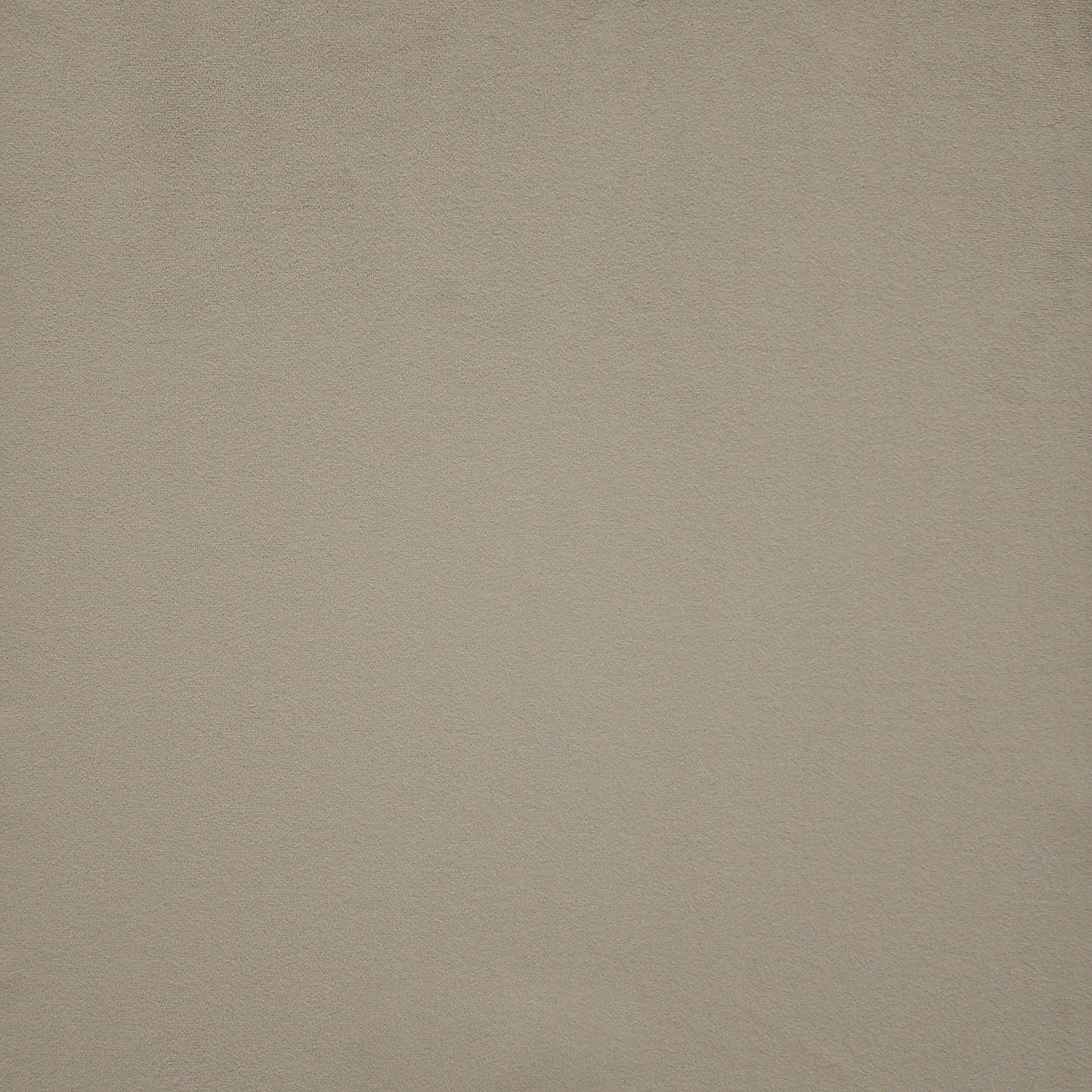 NA1712 Maxwell VELVET SOLID/TEXTURE # 712 TAUPE VELVETROOM