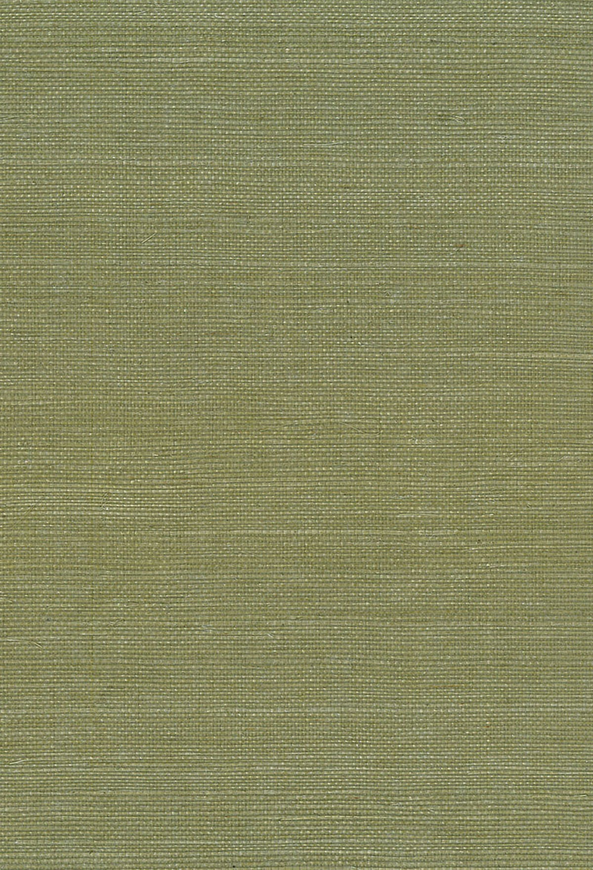 NA208 Seabrook Designs Natural Resource Wallpaper Sisal Green