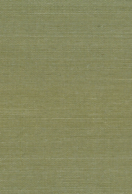 NA208 Seabrook Designs Natural Resource Wallpaper Sisal Green