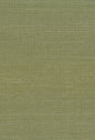NA208 Seabrook Designs Natural Resource Wallpaper Sisal Green
