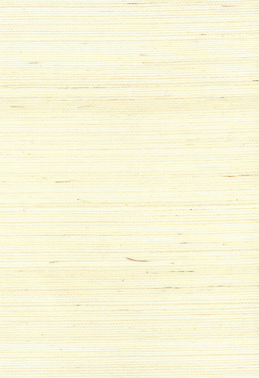 NA218 Seabrook Designs Natural Resource Wallpaper Sisal Off-White