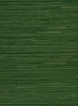 NA305 Seabrook Designs Natural Resource Wallpaper Jute Green