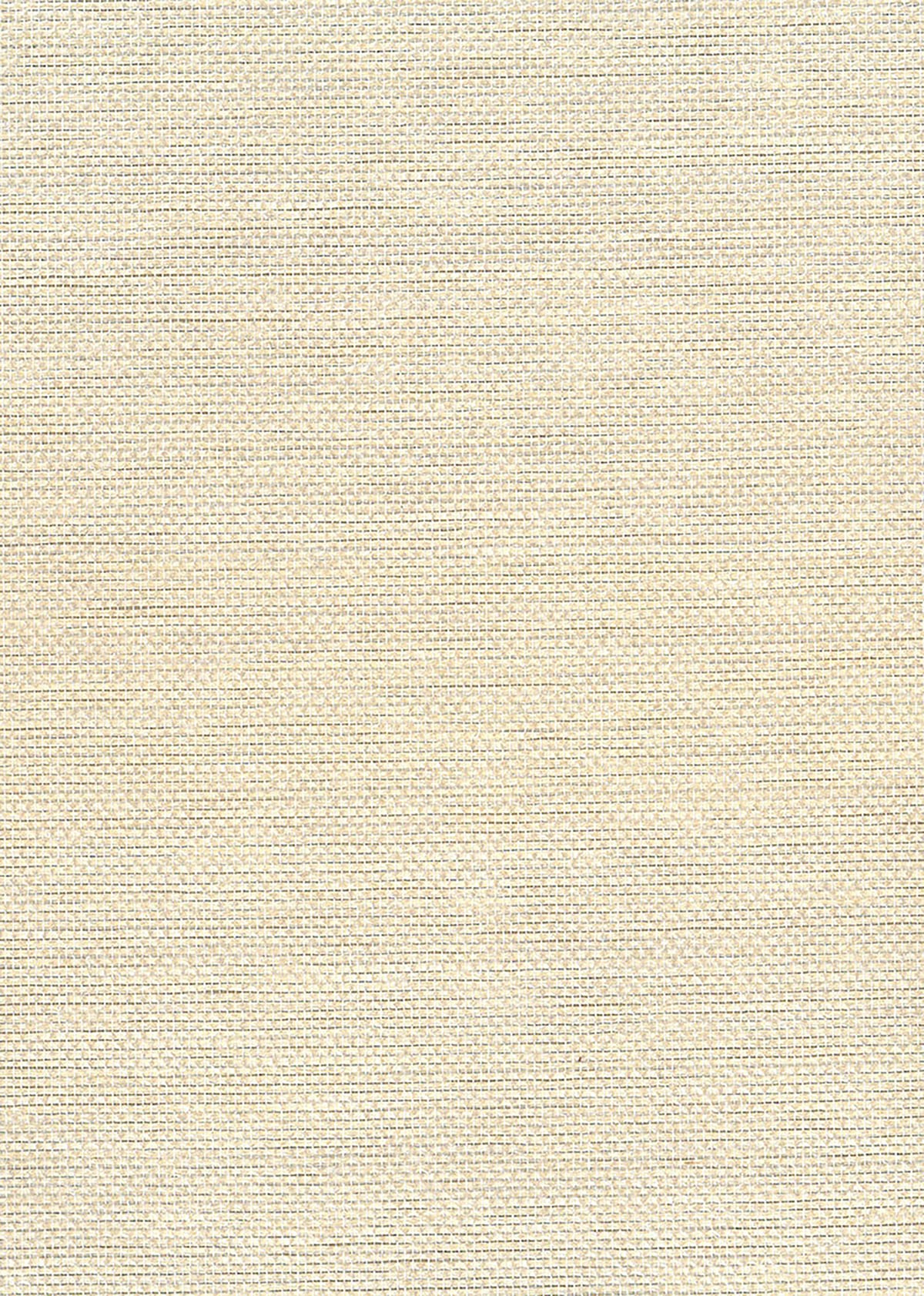 NA509 Seabrook Designs Natural Resource Wallpaper Paperweave Metallic Silver, Off White