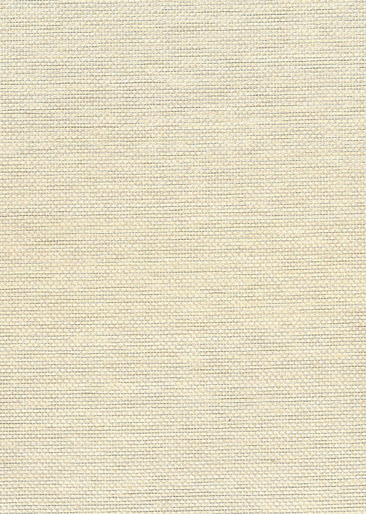 NA509 Seabrook Designs Natural Resource Wallpaper Paperweave Metallic Silver, Off White