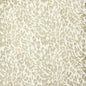 NAMP-1 STOUT NAMPA 1 CARAMEL CARAMEL MULTIPURPOSE