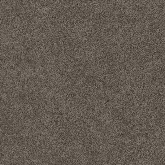 NC01025 Maxwell FABRIC # 1025 GRAPHITE MO-COATEDFABRICS
