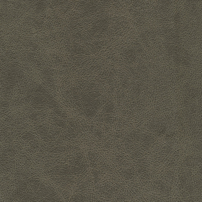 NC01030 Maxwell FABRIC # 1030 WOODS MO-COATEDFABRICS
