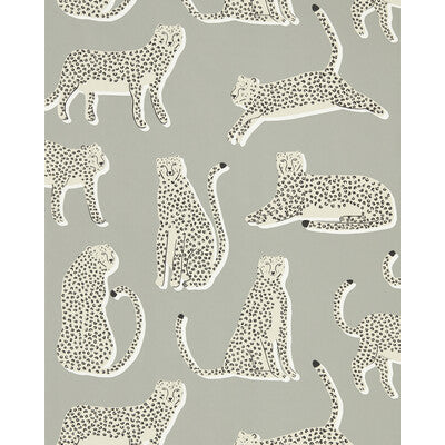 NESW112208-SCN LIONEL WP PEBBLE SCION Wallpaper