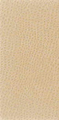 NUOSTRICH-1116 NUOSTRICH PUTTY KRAVET BASICS UPHOLSTERY