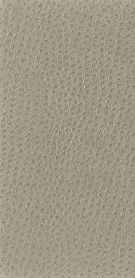NUOSTRICH-616 NUOSTRICH SHIITAKE KRAVET BASICS UPHOLSTERY