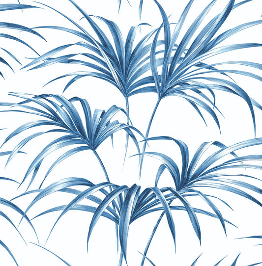 NW32502 NextWall NextWall Peel & Stick Wallpaper Tropical Palm Leaf Coastal Blue