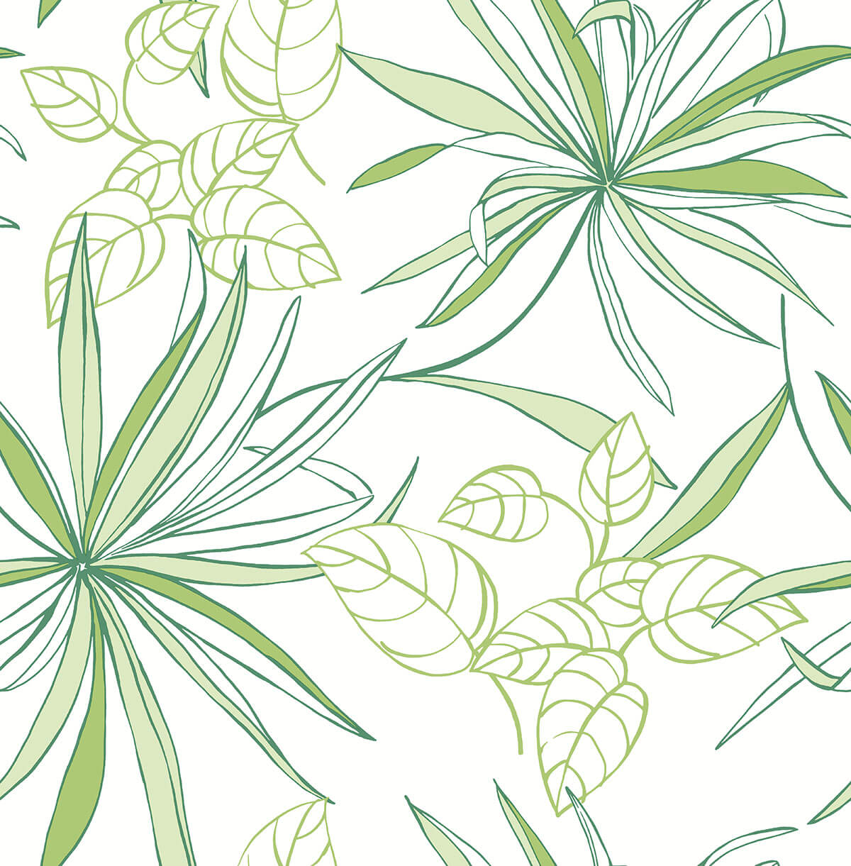 NW36304 NextWall NextWall Peel & Stick Wallpaper Spider Plants Green