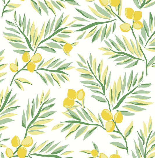 NW36703 NextWall NextWall Peel & Stick Wallpaper Lemon Branch Lemon & Sage
