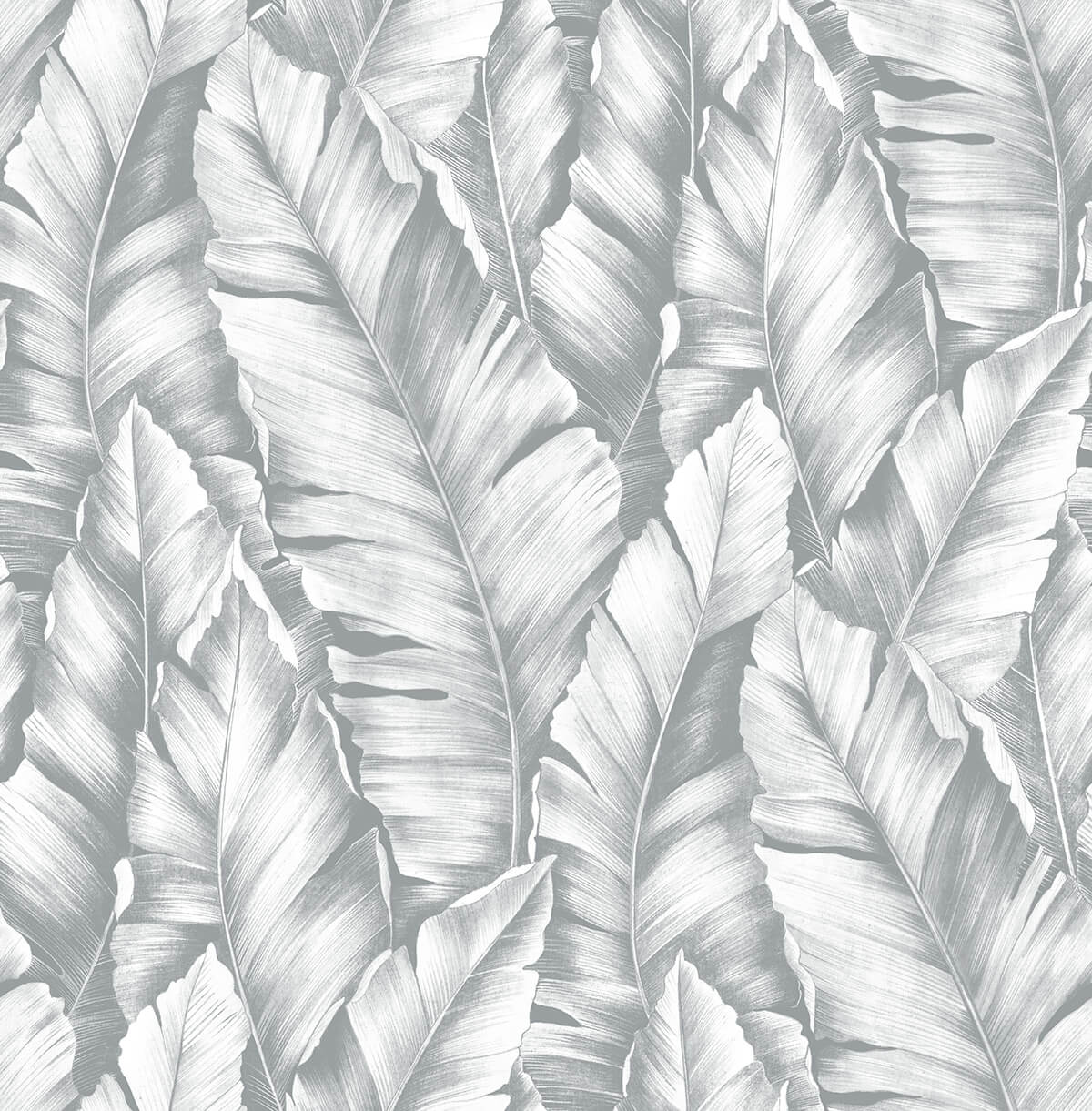 NW37908 NextWall NextWall Peel & Stick Wallpaper Baha Banana Leaves Daydream Gray