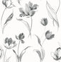 NW38100 NextWall NextWall Peel & Stick Wallpaper Tulip Toss Black and White