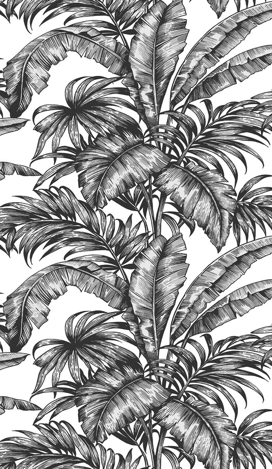 NW40400 NextWall NextWall Peel & Stick Wallpaper Palm Jungle Ebony & Pearl