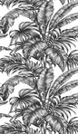 NW40400 NextWall NextWall Peel & Stick Wallpaper Palm Jungle Ebony & Pearl