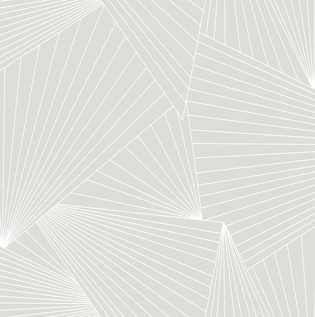 NW41308 NextWall NextWall Peel & Stick Wallpaper Ray Geo Granite Dust