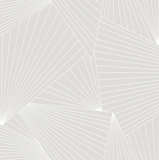 NW41308 NextWall NextWall Peel & Stick Wallpaper Ray Geo Granite Dust