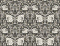 NW42400 NextWall NextWall Peel & Stick Wallpaper Pimpernel Floral Charcoal & Pearl Grey