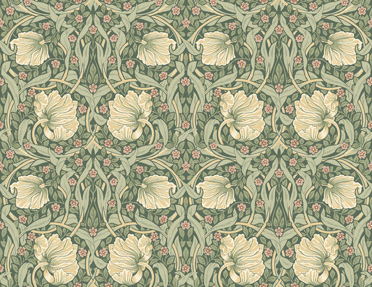 NW42406 NextWall NextWall Peel & Stick Wallpaper Pimpernel Floral Gardenia & Sage