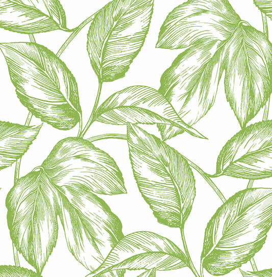 NW46904 NextWall NextWall Peel & Stick Wallpaper Sketched Leaves Greenery
