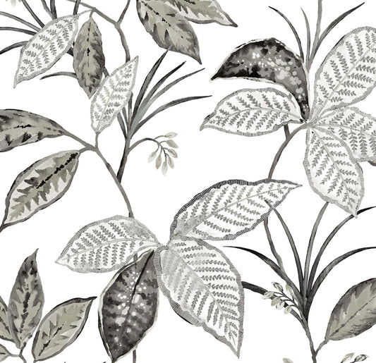 NW48300 NextWall NextWall Peel & Stick Wallpaper Boho Leaf Trail Greystone