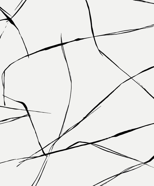 NW53200 NextWall NextWall Peel & Stick Wallpaper Inkwork Abstract Ebony & Eggshell