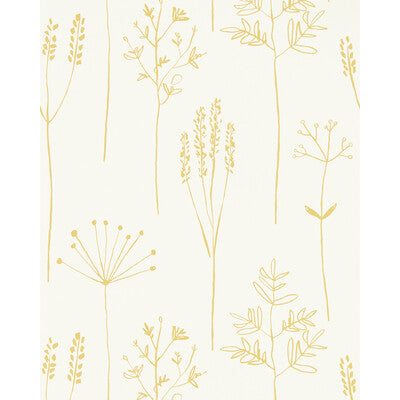 NZAW112021-SCN STIPA HONEY SCION Wallpaper