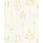 NZAW112021-SCN STIPA HONEY SCION Wallpaper